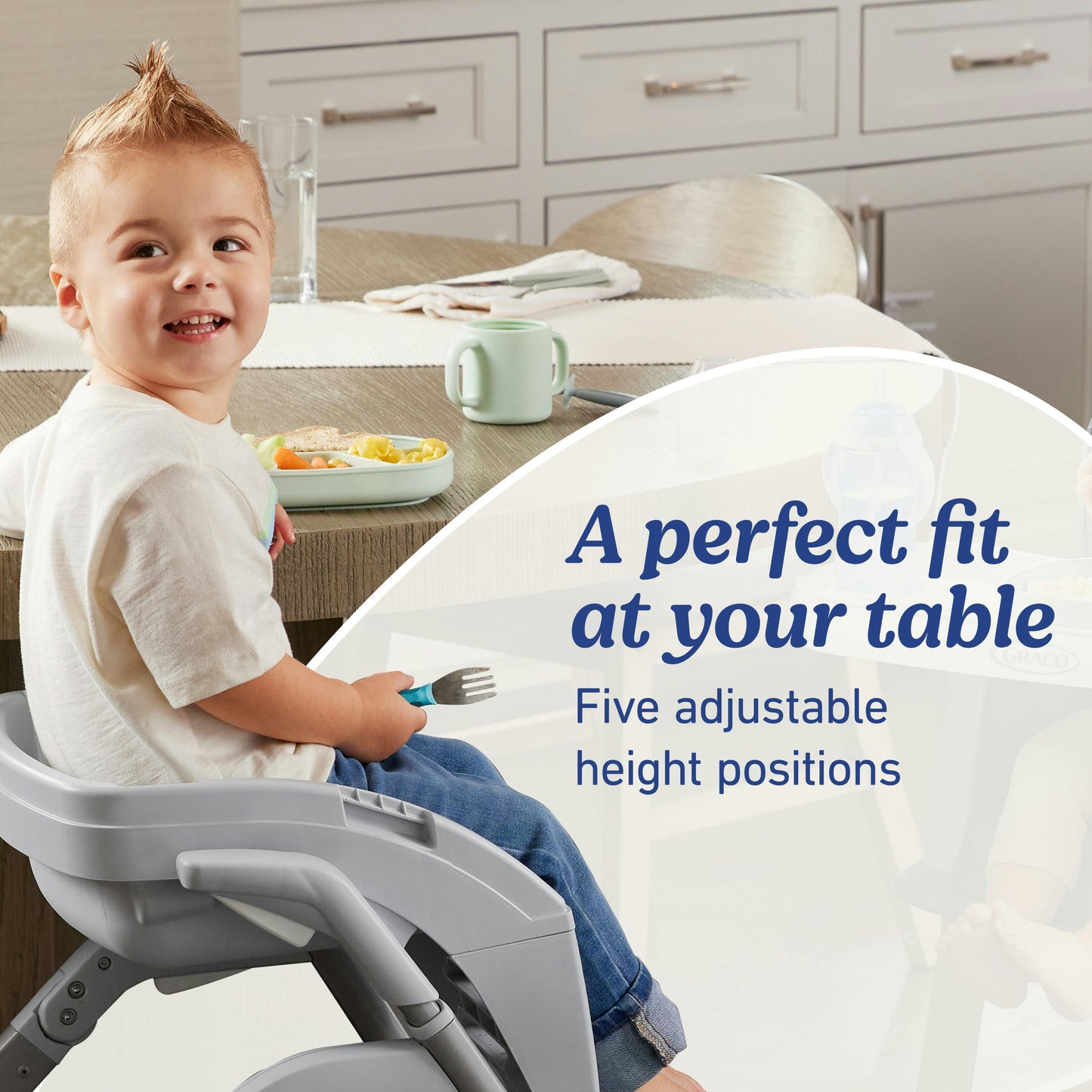 DuoDiner DLX 6-in-1 Highchair